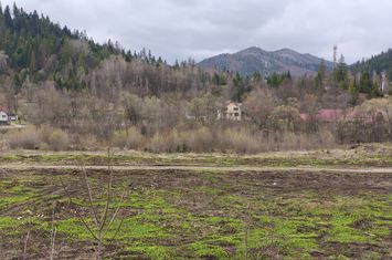 Teren de vanzare SUCEVITA - Suceava anunturi imobiliare Suceava
