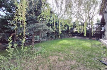 De Vanzare Casa Individuala   zona Dimieni anunturi imobiliare Bucuresti