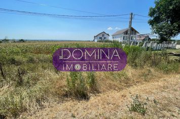 Teren de vanzare BALESTI - Gorj anunturi imobiliare Gorj