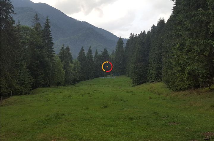 Teren Intravilan de vanzare SACELE - Brasov anunturi imobiliare Brasov