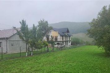 Casă - 8 camere de vanzare PATRAUTI - Suceava anunturi imobiliare Suceava