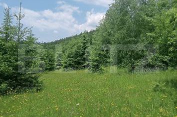 Teren de vanzare SCARISOARA - Alba anunturi imobiliare Alba