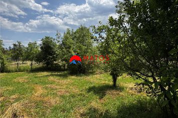 Teren Intravilan de vanzare BREAZA - Prahova anunturi imobiliare Prahova