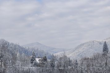 Teren de vanzare SUCEVITA - Suceava anunturi imobiliare Suceava
