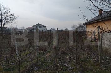 Teren de vanzare MALU MARE - Dolj anunturi imobiliare Dolj