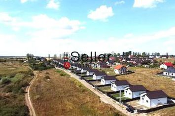 Teren Proslnici la 80 m de șoseaua Iași Voinesti anunturi imobiliare Iasi