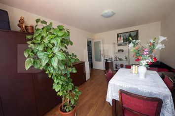 Apartament 3 camere de vanzare CAMPIA TURZII - Cluj anunturi imobiliare Cluj