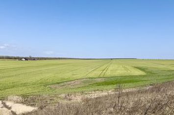 Teren de vanzare COSTINESTI - Constanta anunturi imobiliare Constanta