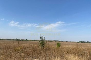 TEREN INTRAVILAN-10406 MP-VIILOR-FAGULUI anunturi imobiliare Bucuresti