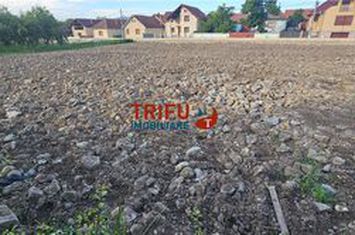 Teren Intravilan de vanzare BUCERDEA VINOASA - Alba anunturi imobiliare Alba
