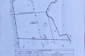 Teren 50000 mp, intravilan, Reghin, 0% comision anunturi imobiliare Mures