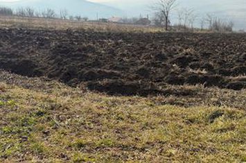 CHICEREA, TOMESTI, TEREN DE VANZARE, 3000 MP anunturi imobiliare Iasi