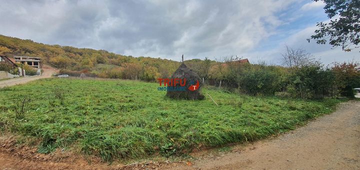 Teren Intravilan de vanzare CENTRAL - Alba anunturi imobiliare Alba