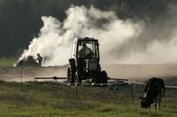 Construcţiile şi comerţul ne trag în recesiune, agricultura ne salvează