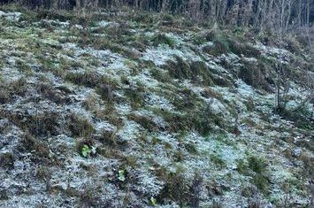 Teren de vanzare MANASTIREA HUMORULUI - Suceava anunturi imobiliare Suceava