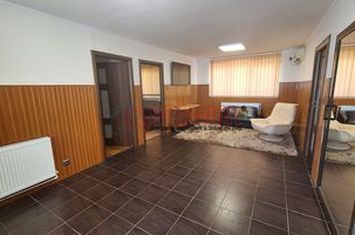 M. Aparatorii Patriei - Spatiu in vila - 88 mp + 80 mp curte individuala anunturi imobiliare Bucuresti