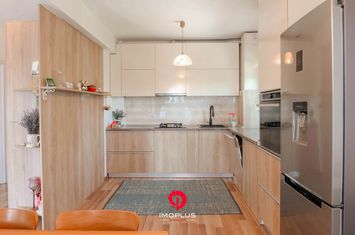 Apartament 3 camere de vanzare IASI - Iasi anunturi imobiliare Iasi