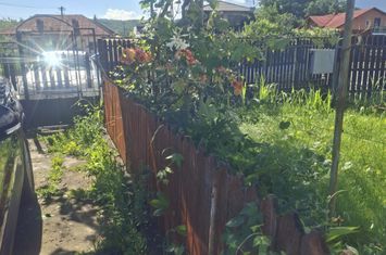 Casă - 4 camere de vanzare COADA MALULUI - Prahova anunturi imobiliare Prahova