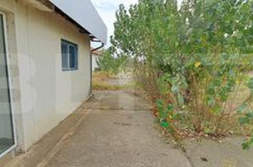 Teren de vanzare CERNELE - Dolj anunturi imobiliare Dolj
