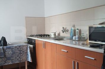 Garsonieră de vanzare BLASCOVICI - Timis anunturi imobiliare Timis