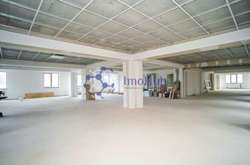 Spatiu birouri, 350 mp, et 1, Tatarasi - Green Park anunturi imobiliare Iasi