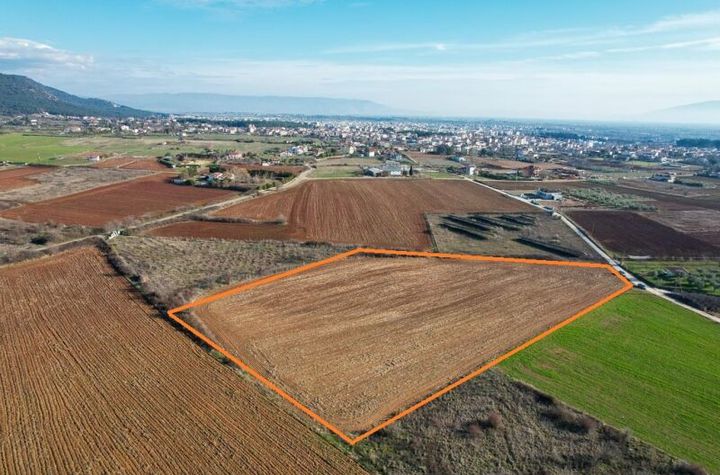 Teren 14.468 mp în Nea Kromni, Drama anunturi imobiliare Grecia