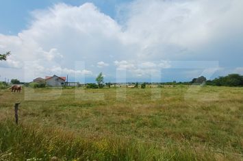 Teren de vanzare TARGU-JIU - Gorj anunturi imobiliare Gorj