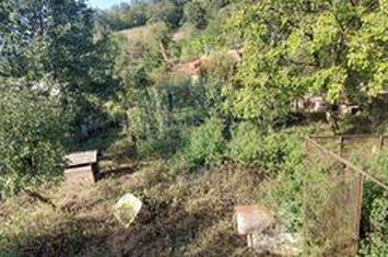 Casă  individuala cu teren generos anunturi imobiliare Mures