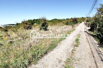 Teren intravilan 16.500mp 55euro mp deschidere de 82m la E60 anunturi imobiliare Mures