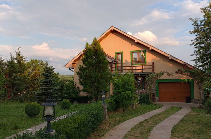 Casă - 15 camere de vanzare SALISTE DE BEIUS - Bihor anunturi imobiliare Bihor