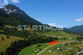 Teren intravilan Zarnesti Plaiul Foii anunturi imobiliare Brasov