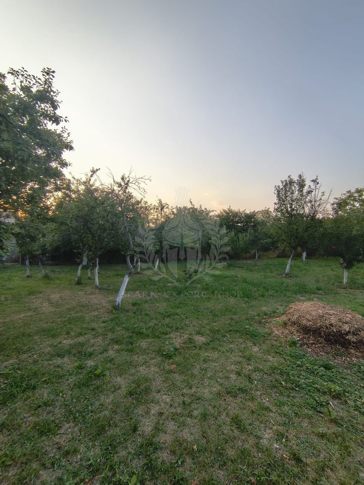 TEREN INTRAVILAN\\CORNU DE JOS anunturi imobiliare Prahova