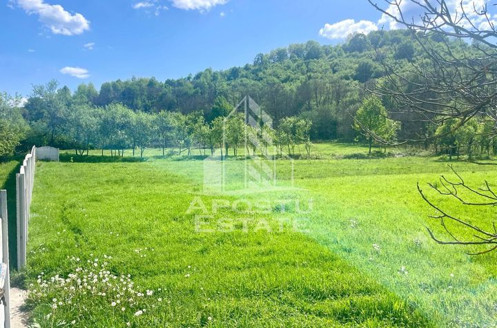 Teren intravilan, partial imprejmuit - Pojoga, com. Zam anunturi imobiliare Hunedoara