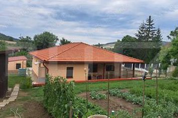 Casă - 4 camere de vanzare CEUASU DE CAMPIE - Mures anunturi imobiliare Mures