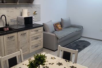 Inchiriez apartament 2 camere tip studio, zona Dobroesti-Sos. Fundeni-Dragonul Rosu,Caisului Residence,Str. Caisului,bloc 2023, 2 locuri de parcare+boxa. anunturi imobiliare Bucuresti