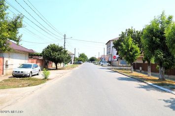 Cumpana - Str. Viilor nr. 7 si 8, teren 1589 mp, deschidere de 21 m! anunturi imobiliare Constanta