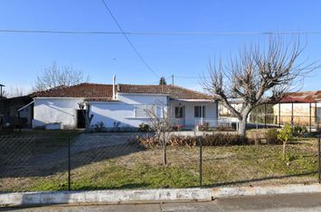 Casă 81 mp cu grădină și anexă 55 mp — Ligaria anunturi imobiliare Grecia