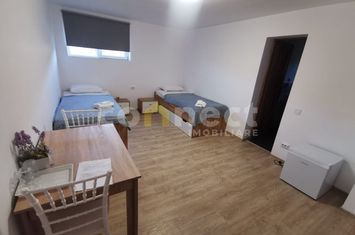 Vilă - 7 camere de inchiriat CLUJ-NAPOCA - Cluj anunturi imobiliare Cluj