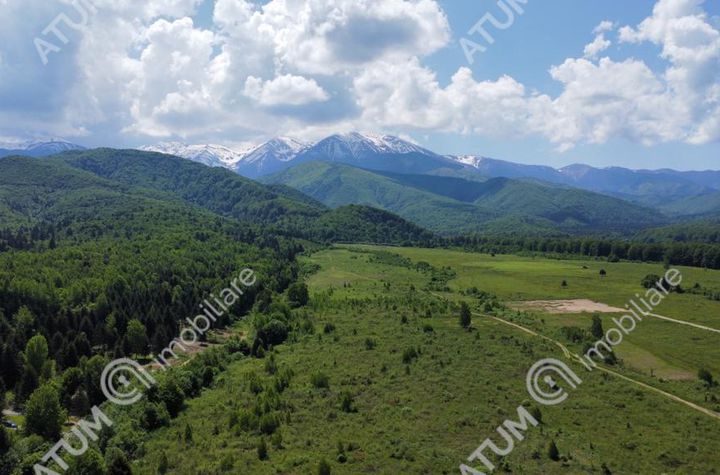 Teren Intravilan de vanzare AVRIG - Sibiu anunturi imobiliare Sibiu