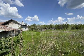 Teren de vanzare BUCOVAT - Dolj anunturi imobiliare Dolj