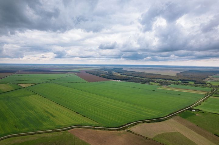 Teren Extravilan de vanzare POPESTI - Arges anunturi imobiliare Arges