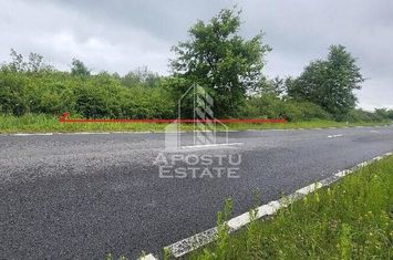 Teren mixt de 8.600 mp, ideal pentru investitie, Cuied anunturi imobiliare Arad