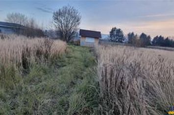 Teren Intravilan de vanzare STUPINI - Brasov anunturi imobiliare Brasov