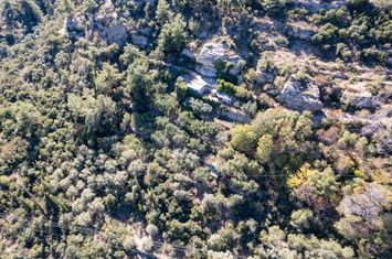 Teren agricol 1.361,75 mp în Kavaki (Agios Konstantinos) anunturi imobiliare Grecia