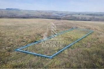 Teren agricol, Barsa, Eligibil pentru fonduri Europene anunturi imobiliare Arad