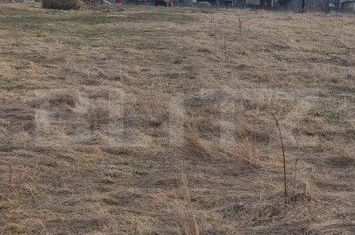 Teren de vanzare HORODNIC - Suceava anunturi imobiliare Suceava
