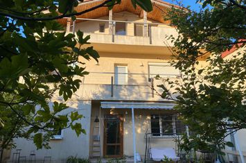 VILA INDIVIDULA VERSATILA ZONA DOMENII- GRIVITA anunturi imobiliare Bucuresti