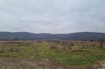 Teren de vanzare CENTRAL - Bacau anunturi imobiliare Bacau