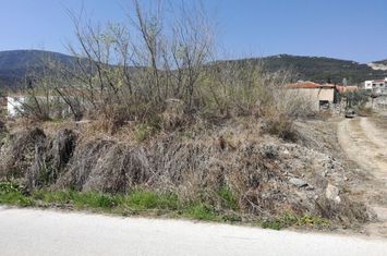 Teren 1.108 mp în Zarkadia anunturi imobiliare Grecia