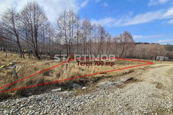 Teren Intravilan de vanzare SUD - Brasov anunturi imobiliare Brasov